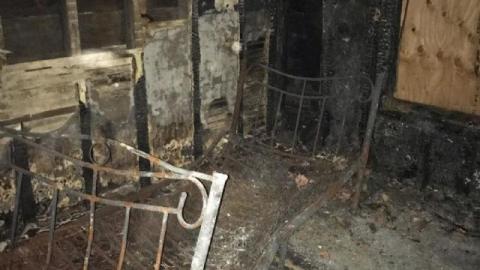 Crispy Mural photo 4