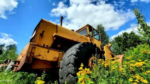 first trip - 20200807_001646rg3.jpg