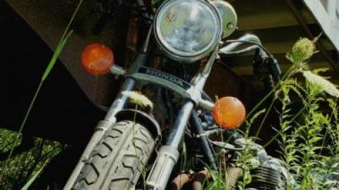 first trip - 20200807_001317Sbq.jpg