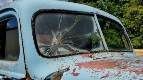 first trip - 20200807_001102hTr.jpg