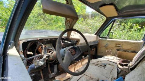 first trip - 20200806_1504178wU.jpg