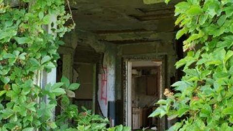 do it for the vine - 20200731_133322hUg.jpg