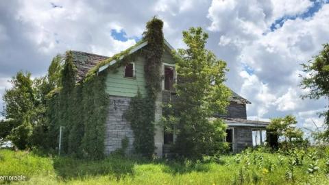 Photo from do it for the vine