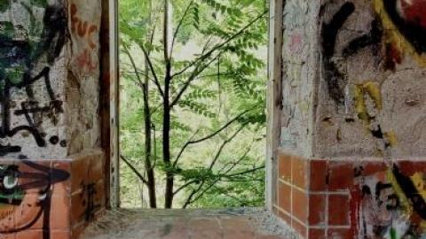 Photo from pretty graffiti