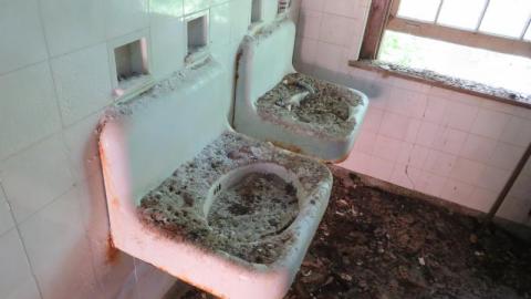 Long abandoned - IMG_0201Rt3.jpg