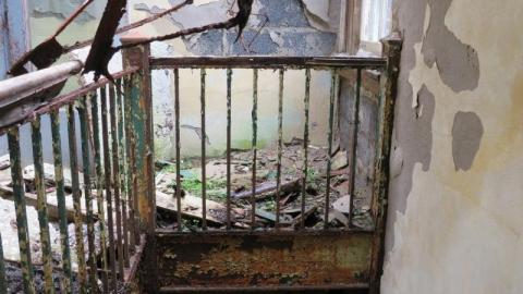 Long abandoned - IMG_0213Imb.jpg