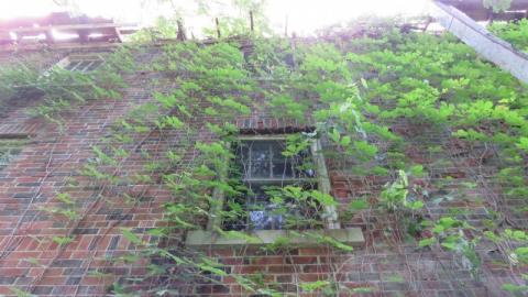 Long abandoned - IMG_0216eYj.jpg