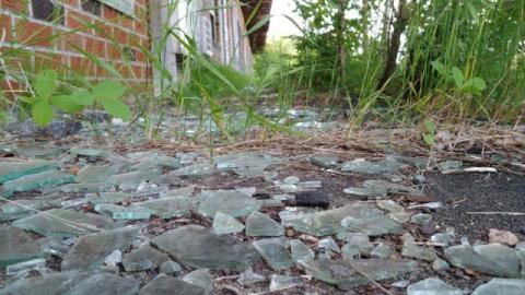 Quick Visit - w3qaNVLQlvt.jpg