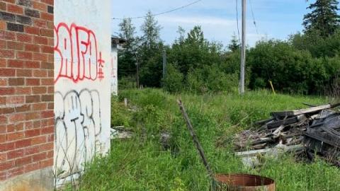 Quick Visit - 9ybsZyngFJ.jpg