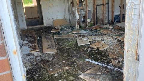 Quick Visit - QzqEXorgrXB.jpg