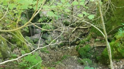 Frontenac Lead Mine Shaft No. 1 photo 5