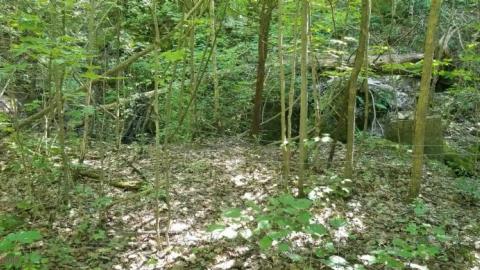 August 12th - 20200812_1559365Bf.jpg