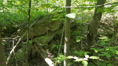 August 12th - 20200812_155921SQj.jpg