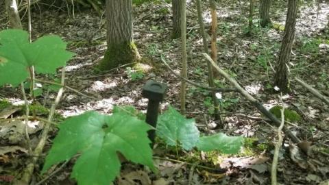 Frontenac Lead Mine Shaft No. 1 photo 4