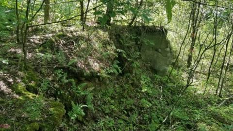 August 12th - 20200812_155848Fxp.jpg