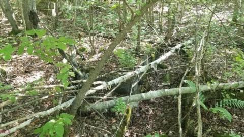 Frontenac Lead Mine Shaft No. 1 photo 2