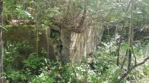 August 12th - 20200812_155623fpl.jpg