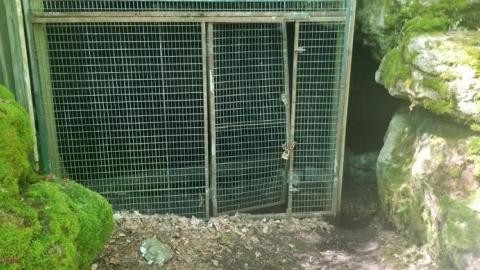 Into the Mine - 20200813_143637rk3.jpg