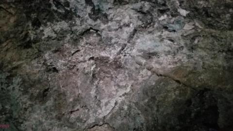 Into the Mine - 20200813_143430kiz.jpg