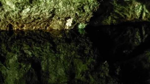 Into the Mine - received_602366023801078bn5.jpg