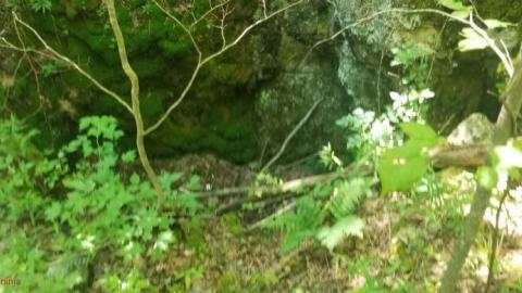 Into the Mine - 20200813_144959gWd.jpg