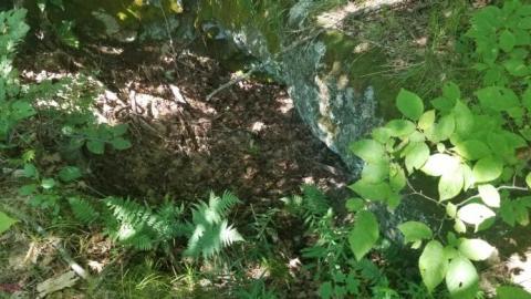 Into the Mine - 20200813_150441RQc.jpg