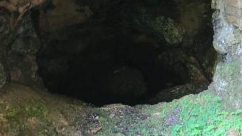 Into the Mine - received_307195057366522Qql.jpg