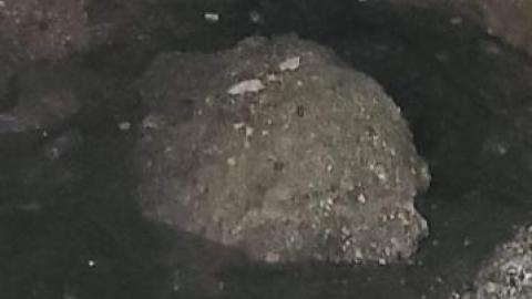 Silver Queen Mine photo 5