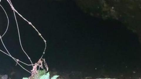 Into the Mine - received_298289387903457UZH.jpg