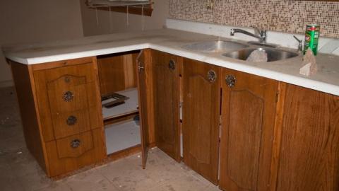 Aug/20 - IMG_4581sVYM.jpg