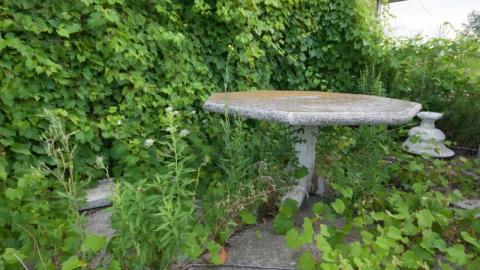 Aug/20 - IMG_4613s1qz.jpg