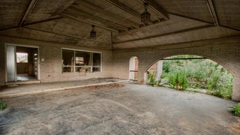 Aug/20 - IMG_4628sToV.jpg