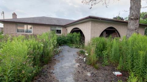 Aug/20 - IMG_4629steG.jpg