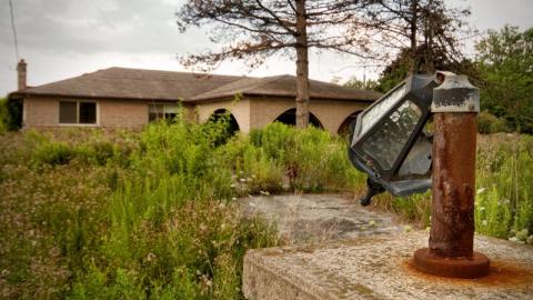 Aug/20 - IMG_4632sSwF.jpg