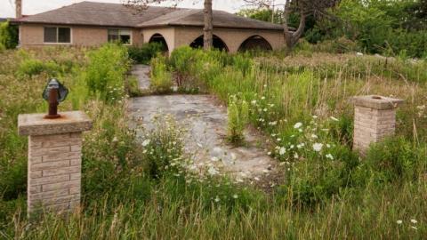 Aug/20 - IMG_4634seMv.jpg