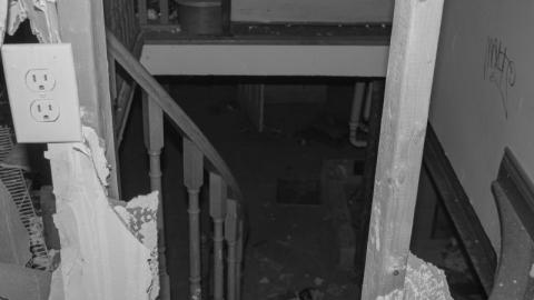 Photo from Night Visit