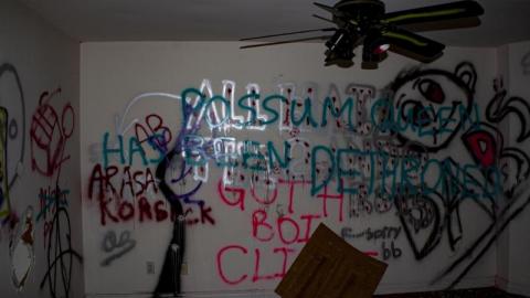 Night Visit - IMG_7519blB.jpg