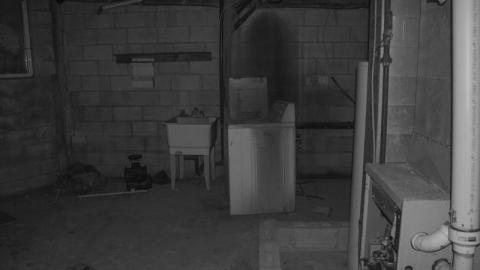 Night Visit - IMG_7530mQK.jpg