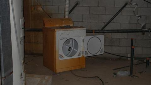 Night Visit - IMG_7531NbP.jpg