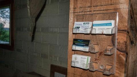 A House is not a Stone - IMG_4491snTg.jpg