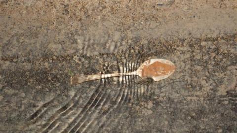 What is 2nd I Dont know is 3rd - IMG_3349GND.jpg