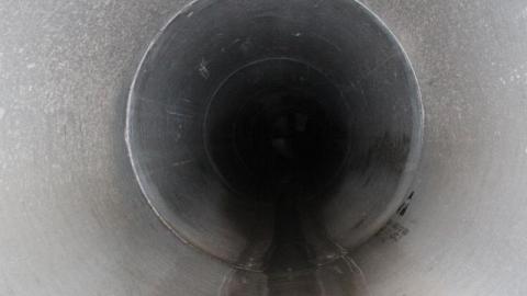 What is 2nd I Dont know is 3rd - IMG_3360YHY.jpg