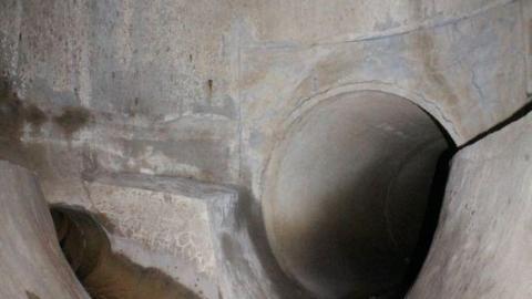 What is 2nd I Dont know is 3rd - IMG_3369SEU.jpg