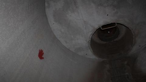 What is 2nd I Dont know is 3rd - IMG_337824V.jpg