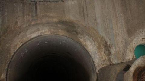 What is 2nd I Dont know is 3rd - IMG_3381N1B.jpg