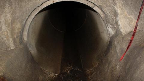 What is 2nd I Dont know is 3rd - IMG_3385N56.jpg