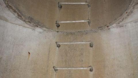 What is 2nd I Dont know is 3rd - IMG_3386hSK.jpg