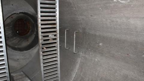 What is 2nd I Dont know is 3rd - IMG_3391nXP.jpg