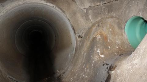 What is 2nd I Dont know is 3rd - IMG_3392acO.jpg