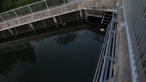 What is 2nd I Dont know is 3rd - IMG_3400wMO.jpg